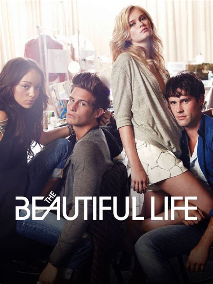 Complete Cast List And Roles For "A Beautiful Life" (2009)