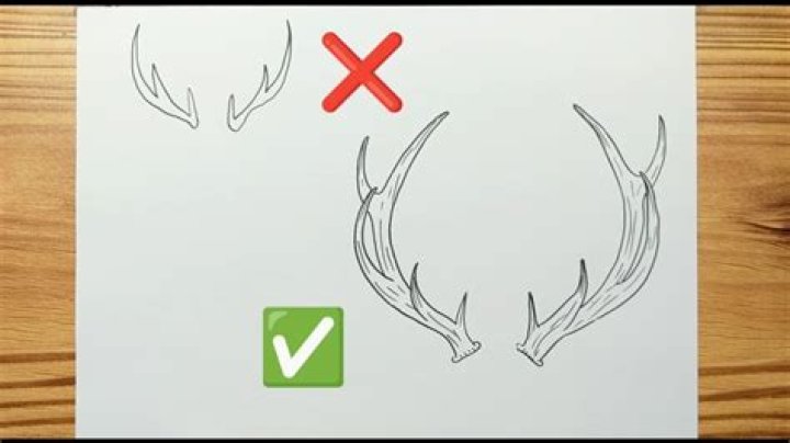 Easy Antler Drawing: A Step-by-Step Guide For Beginners