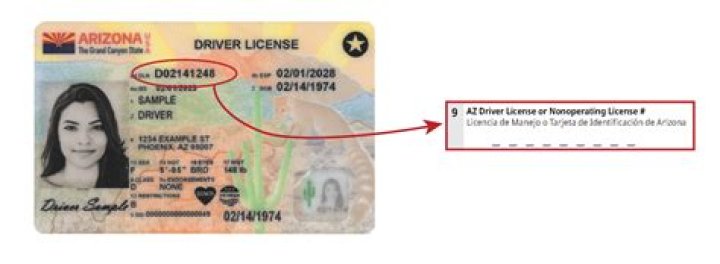 Locate Your Driver's License Number Easily - Guide